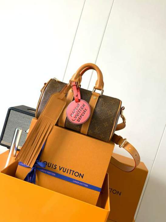 Picture of Louis Vuitton Handbags _SKUfw238324292fw